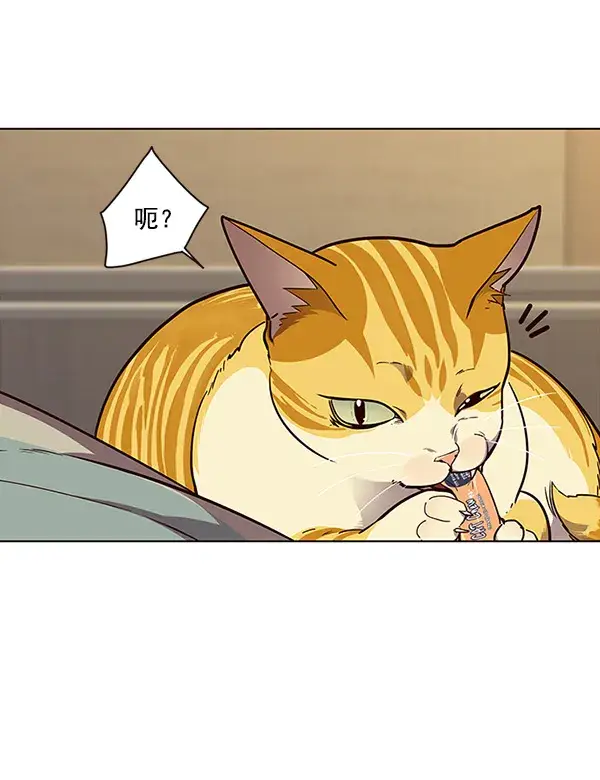 漫画《觉醒吧，铲屎官！》第30话第4张图