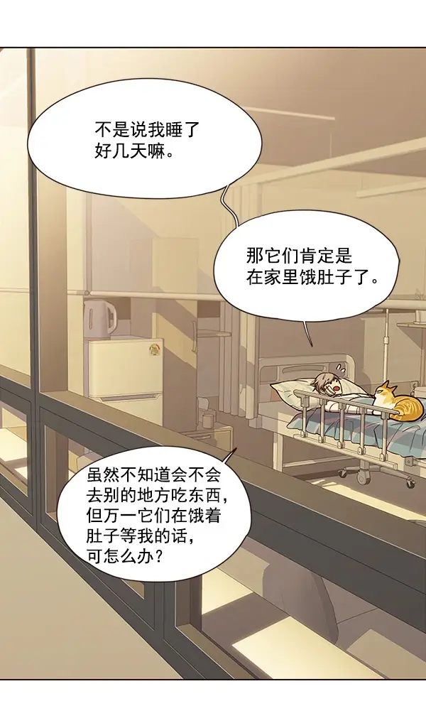 漫画《觉醒吧，铲屎官！》第30话第7张图
