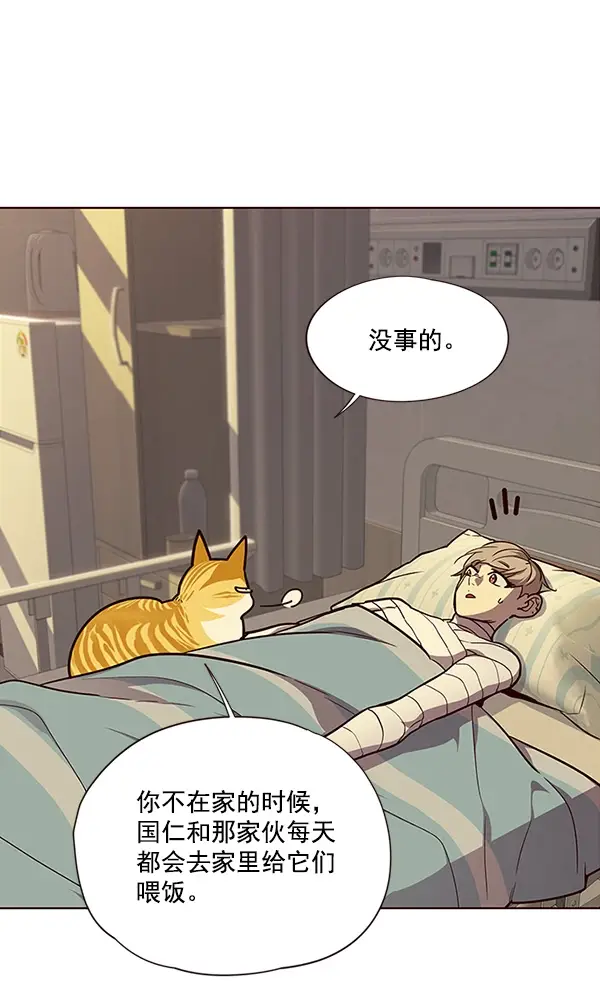 漫画《觉醒吧，铲屎官！》第30话第8张图