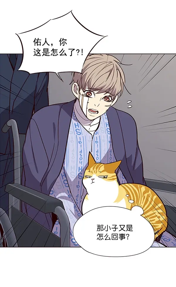 漫画《觉醒吧，铲屎官！》第32话第67张图