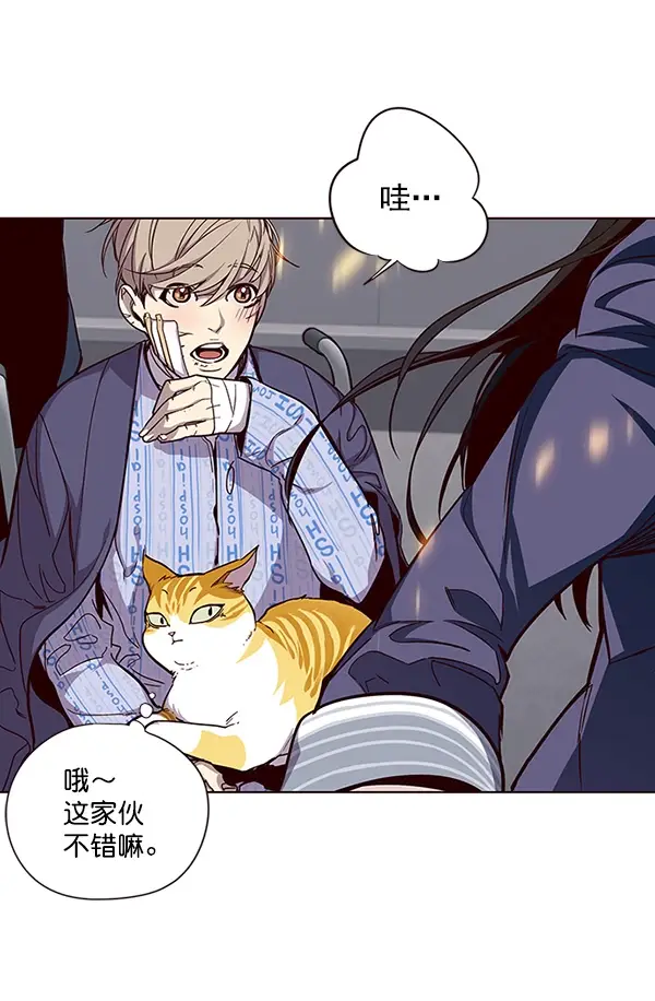 漫画《觉醒吧，铲屎官！》第33话第30张图