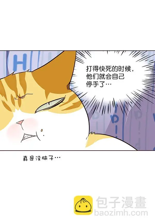 漫画《觉醒吧，铲屎官！》第34话第44张图