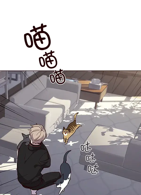 漫画《觉醒吧，铲屎官！》第34话第78张图