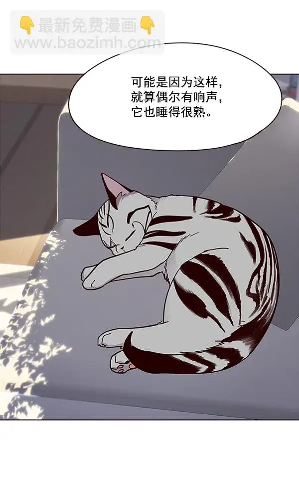 漫画《觉醒吧，铲屎官！》第34话第85张图