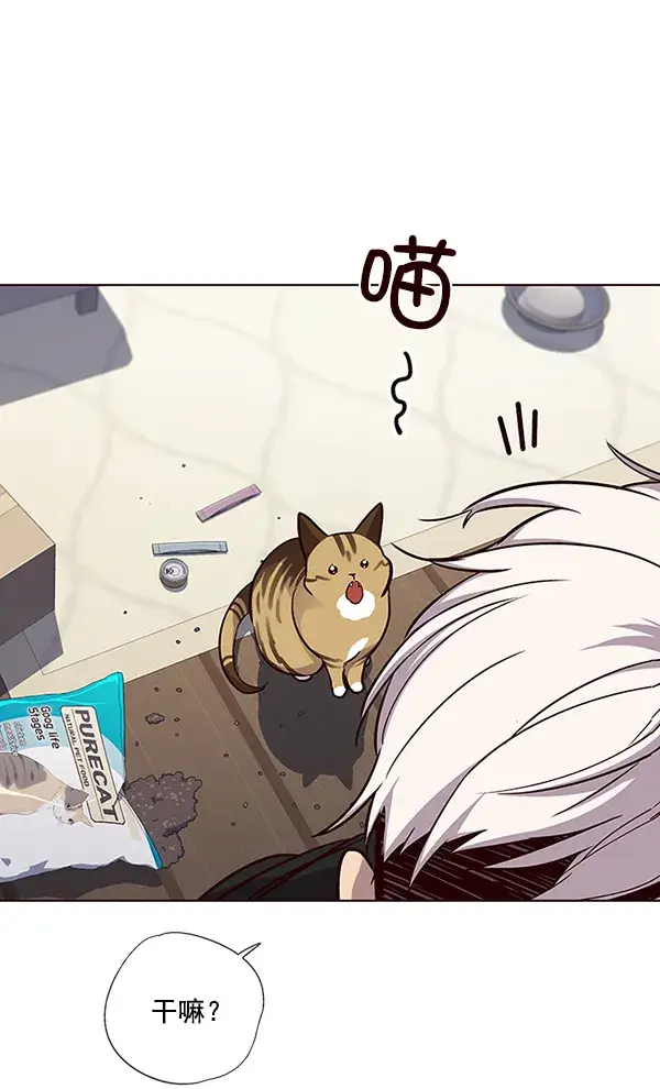 漫画《觉醒吧，铲屎官！》第35话第13张图