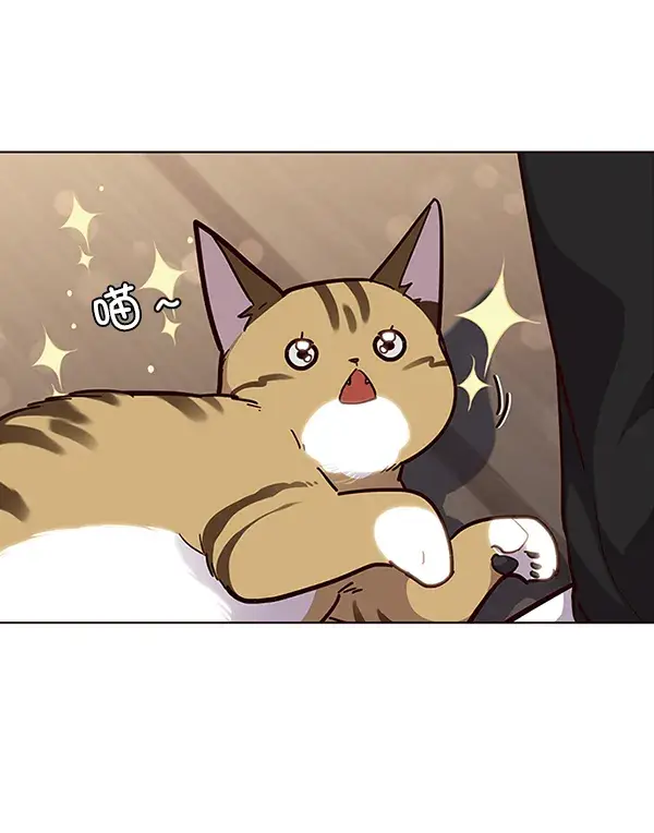 漫画《觉醒吧，铲屎官！》第35话第15张图