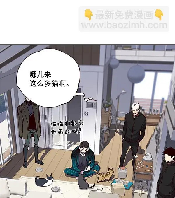漫画《觉醒吧，铲屎官！》第35话第4张图