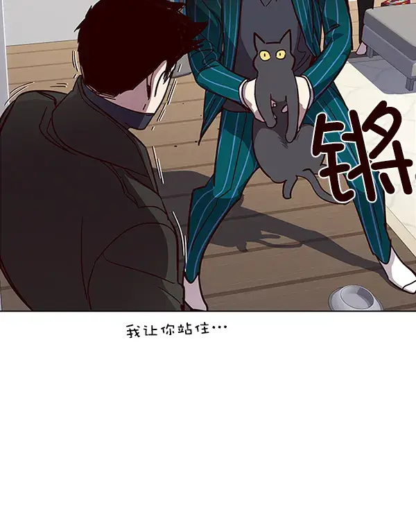 漫画《觉醒吧，铲屎官！》第35话第41张图