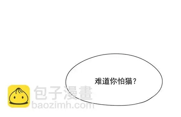 漫画《觉醒吧，铲屎官！》第35话第43张图