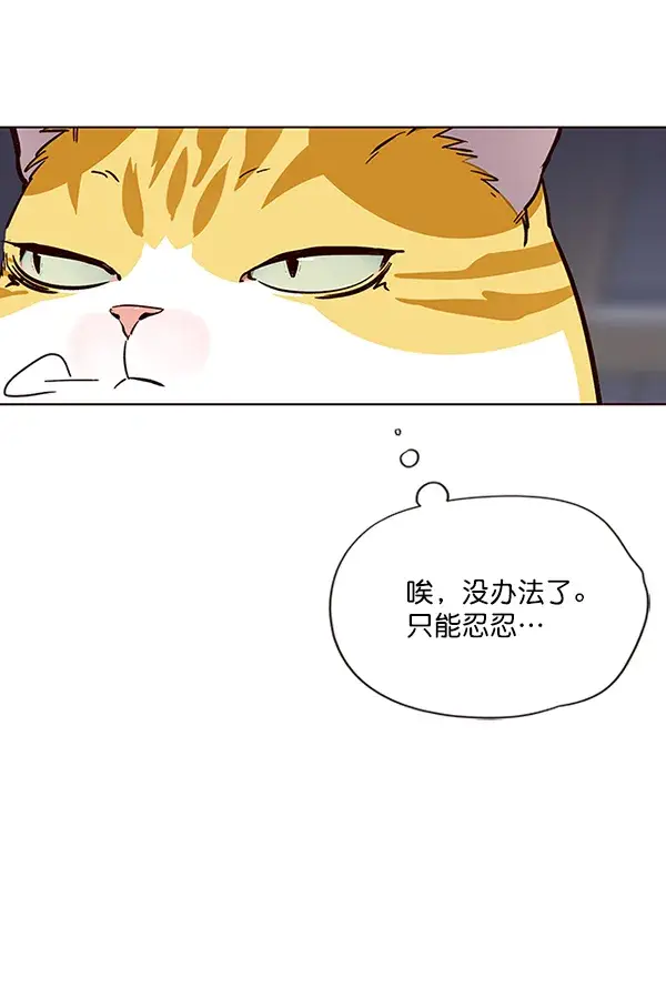 漫画《觉醒吧，铲屎官！》第35话第63张图