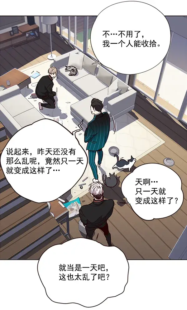 漫画《觉醒吧，铲屎官！》第35话第7张图
