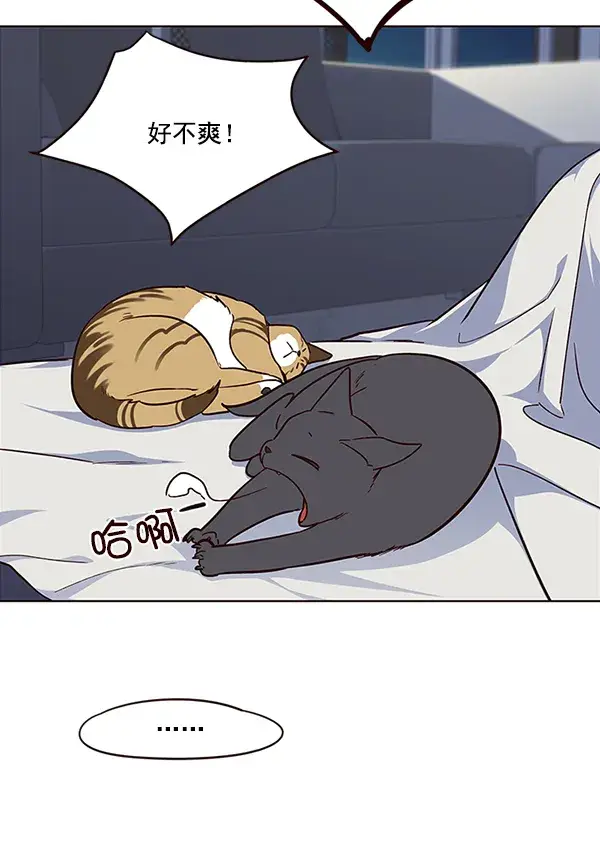 漫画《觉醒吧，铲屎官！》第35话第99张图