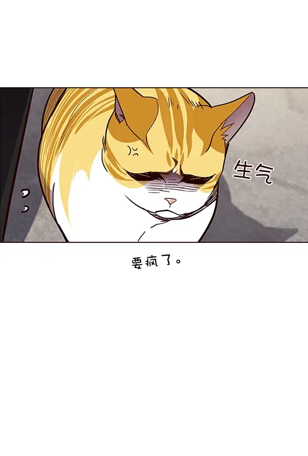 漫画《觉醒吧，铲屎官！》第36话第100张图