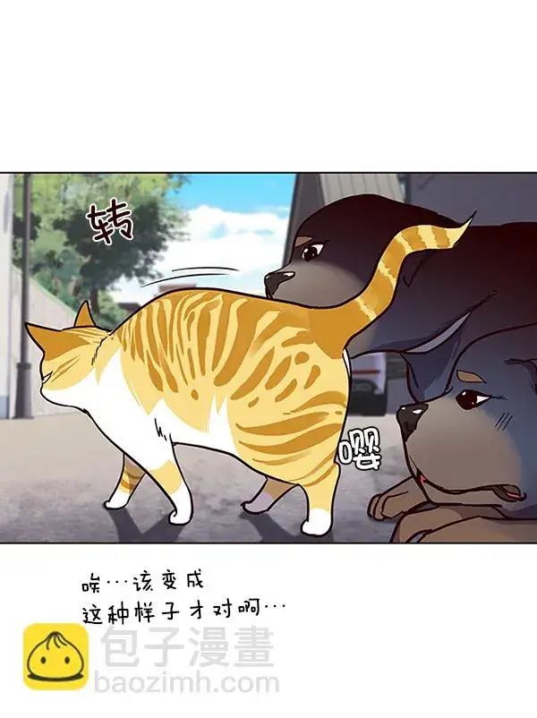 漫画《觉醒吧，铲屎官！》第36话第118张图