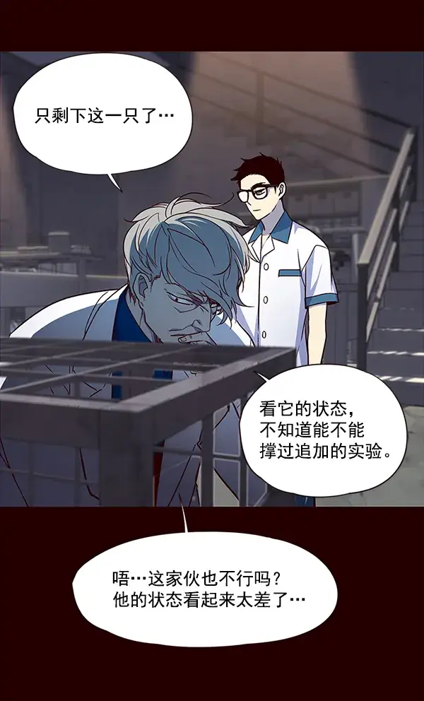 漫画《觉醒吧，铲屎官！》第36话第15张图
