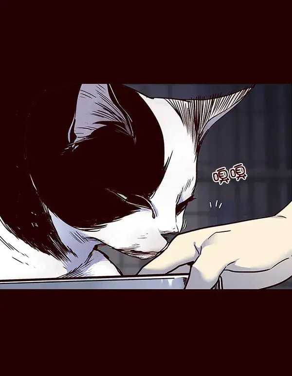 漫画《觉醒吧，铲屎官！》第36话第24张图