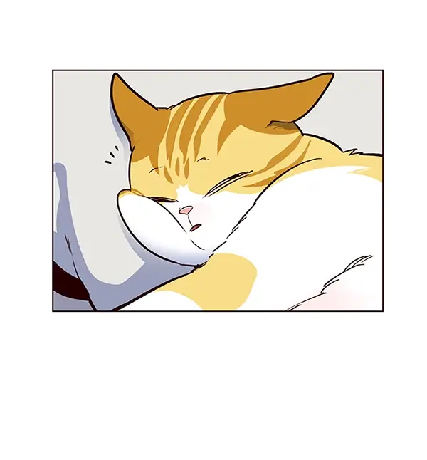 漫画《觉醒吧，铲屎官！》第36话第51张图