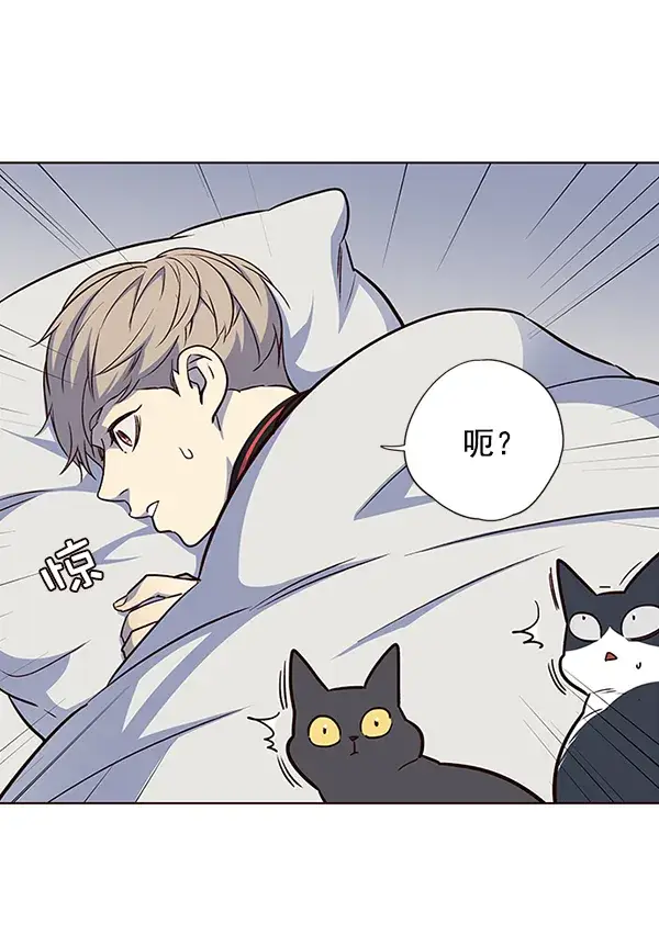 漫画《觉醒吧，铲屎官！》第36话第61张图