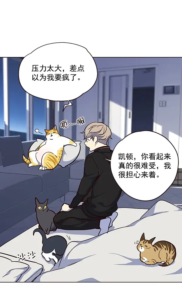 漫画《觉醒吧，铲屎官！》第36话第69张图