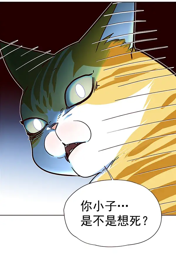 漫画《觉醒吧，铲屎官！》第36话第80张图