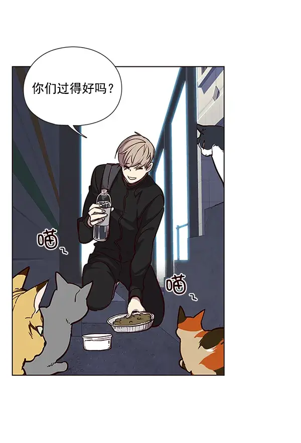 漫画《觉醒吧，铲屎官！》第36话第86张图