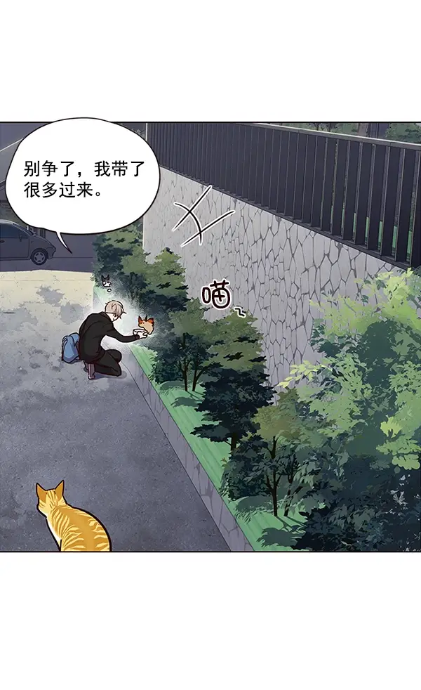 漫画《觉醒吧，铲屎官！》第36话第88张图