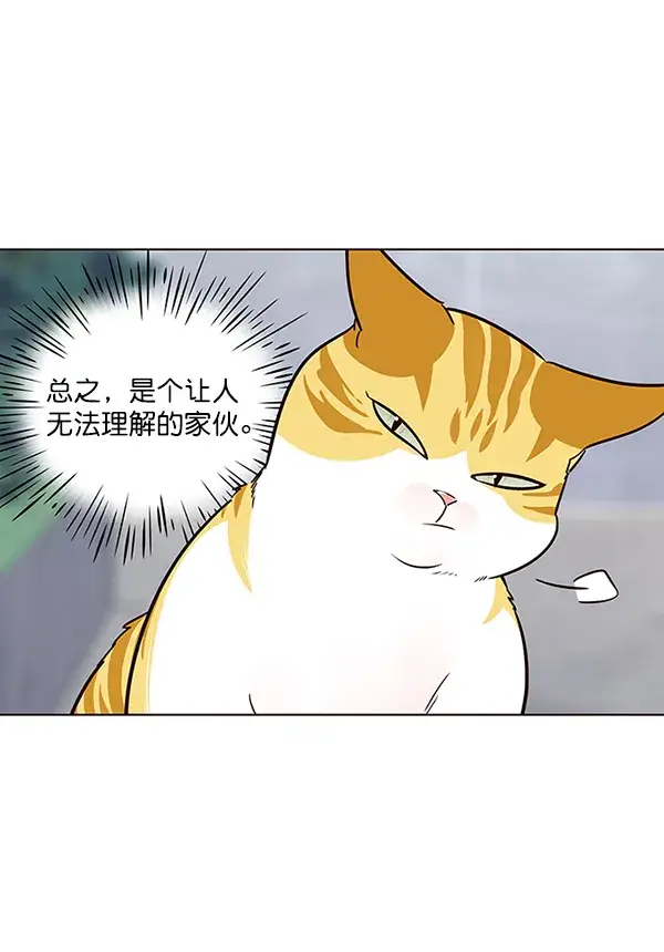 漫画《觉醒吧，铲屎官！》第36话第90张图
