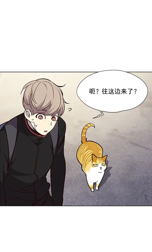 漫画《觉醒吧，铲屎官！》第36话第98张图
