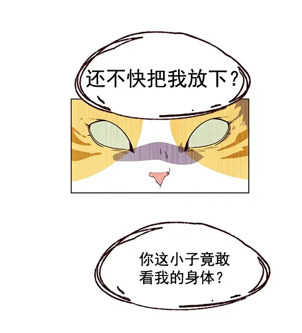 漫画《觉醒吧，铲屎官！》第1话第100张图