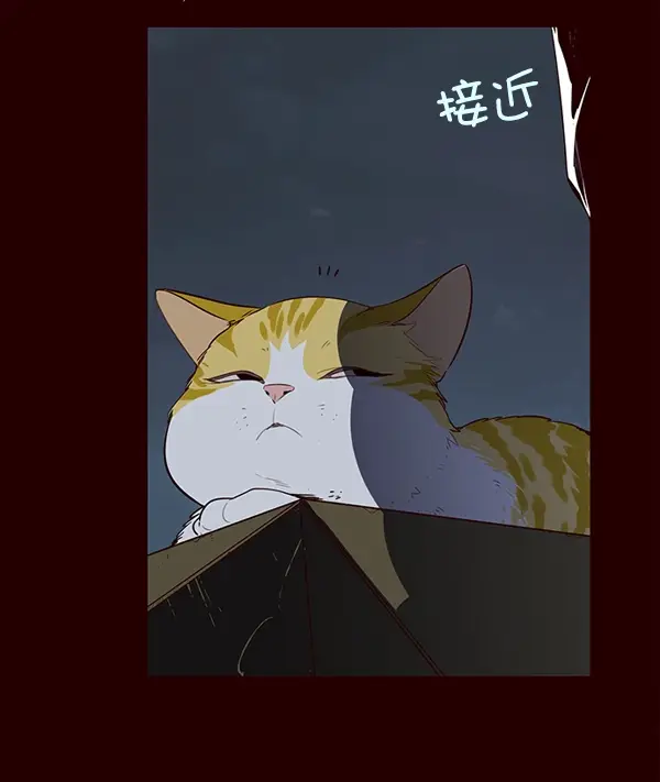 漫画《觉醒吧，铲屎官！》第1话第11张图