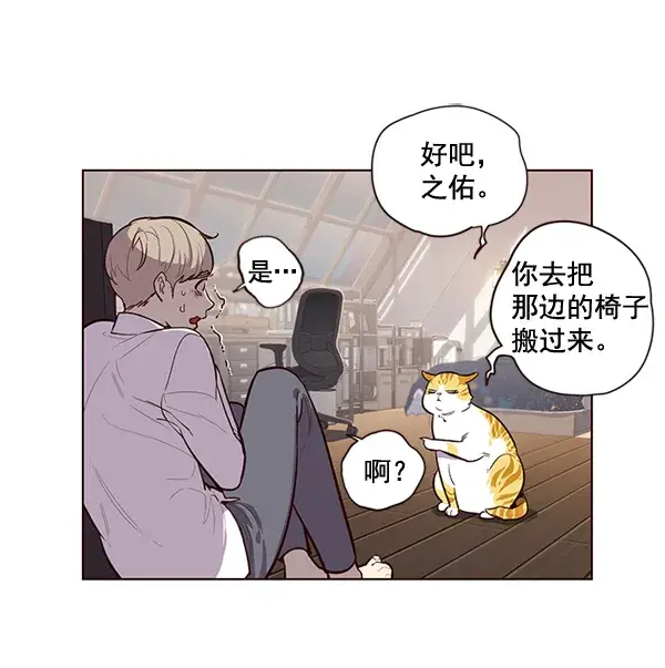 漫画《觉醒吧，铲屎官！》第1话第116张图