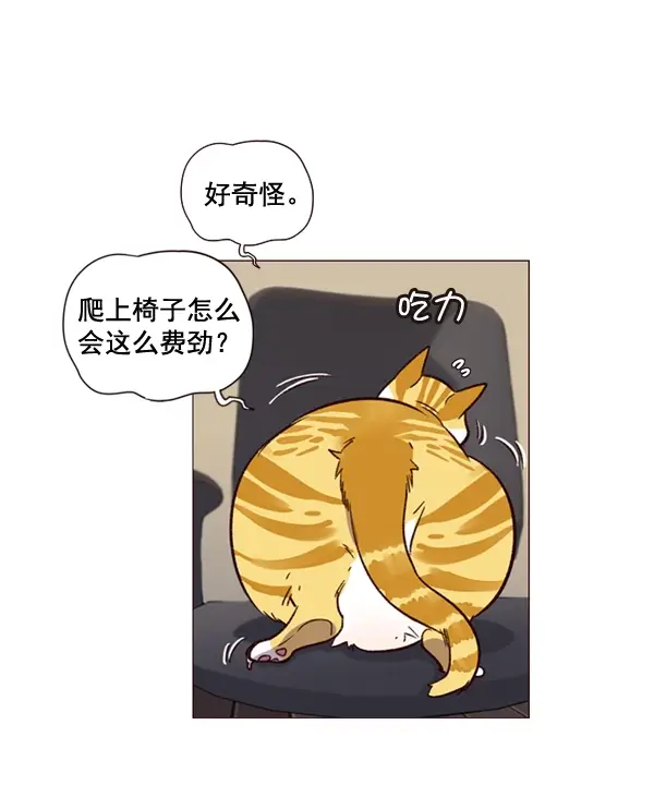 漫画《觉醒吧，铲屎官！》第1话第121张图