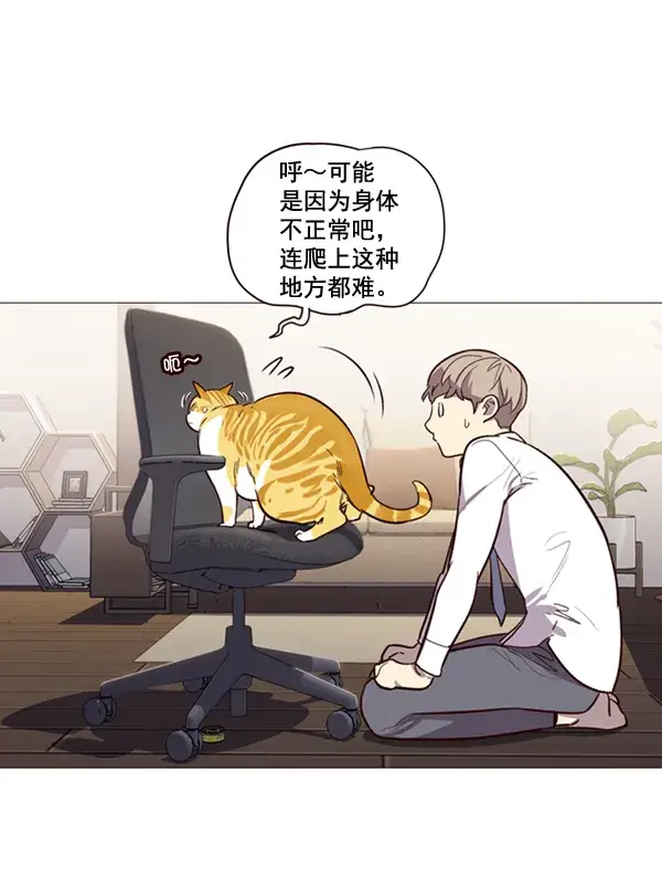漫画《觉醒吧，铲屎官！》第1话第122张图