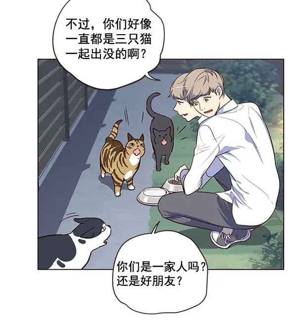 漫画《觉醒吧，铲屎官！》第1话第54张图