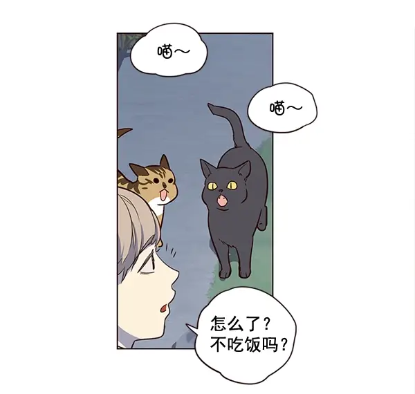 漫画《觉醒吧，铲屎官！》第1话第55张图