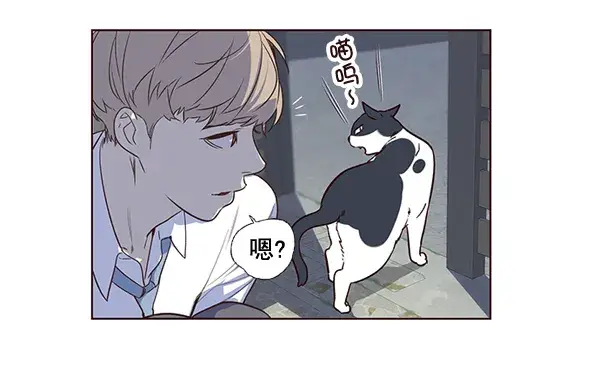 漫画《觉醒吧，铲屎官！》第1话第57张图