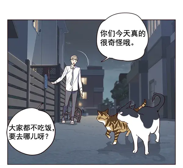 漫画《觉醒吧，铲屎官！》第1话第58张图