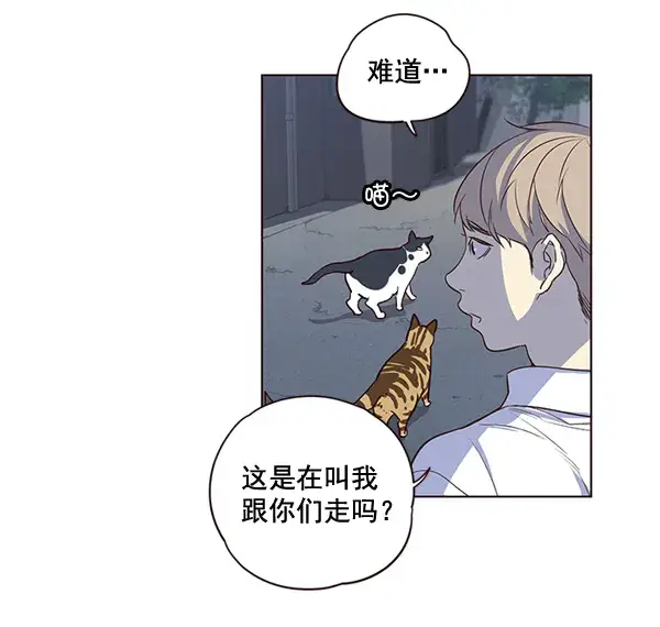 漫画《觉醒吧，铲屎官！》第1话第59张图