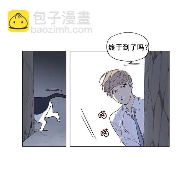 漫画《觉醒吧，铲屎官！》第1话第61张图