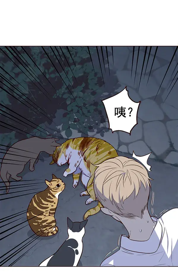 漫画《觉醒吧，铲屎官！》第1话第62张图