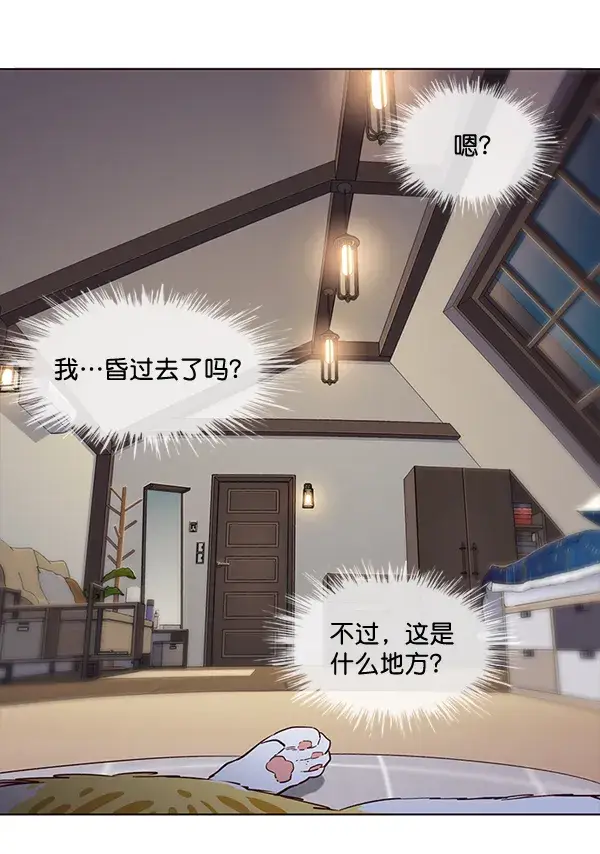 漫画《觉醒吧，铲屎官！》第1话第67张图