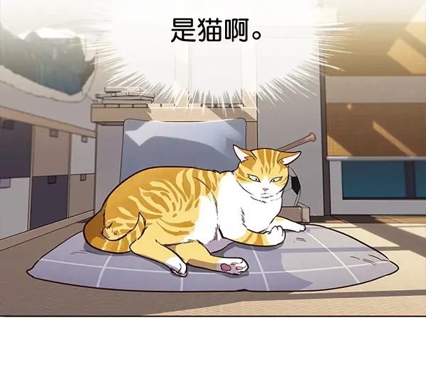 漫画《觉醒吧，铲屎官！》第1话第70张图