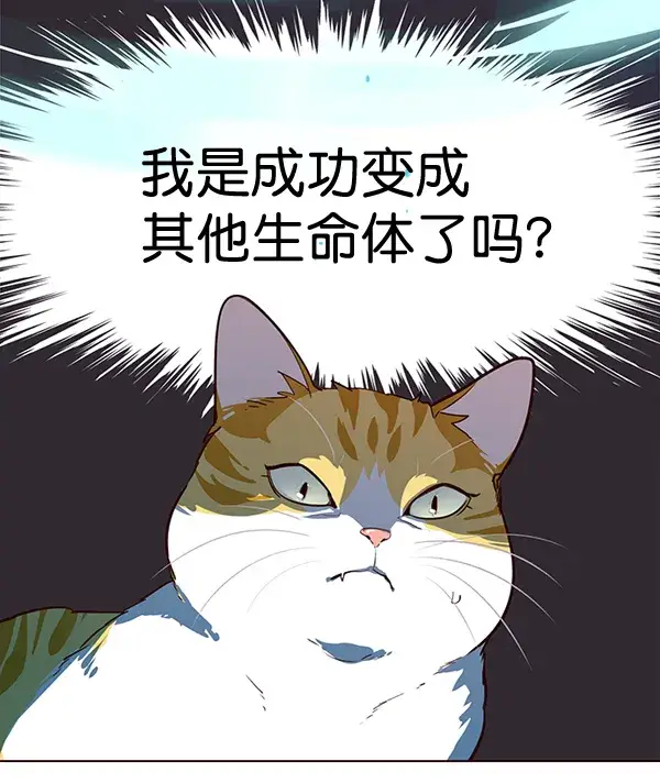 漫画《觉醒吧，铲屎官！》第1话第76张图