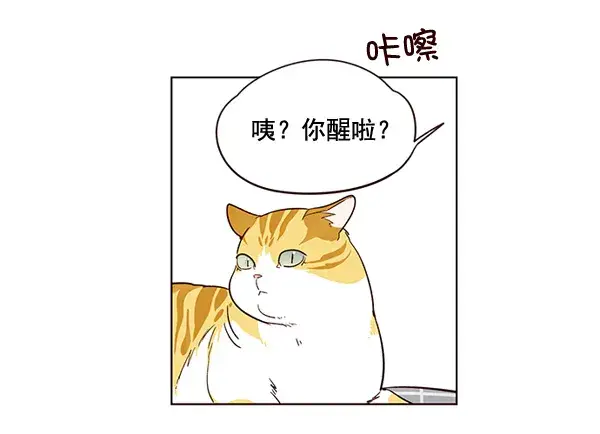 漫画《觉醒吧，铲屎官！》第1话第77张图