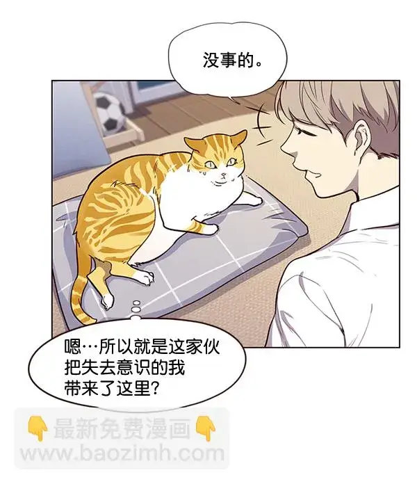 漫画《觉醒吧，铲屎官！》第1话第81张图