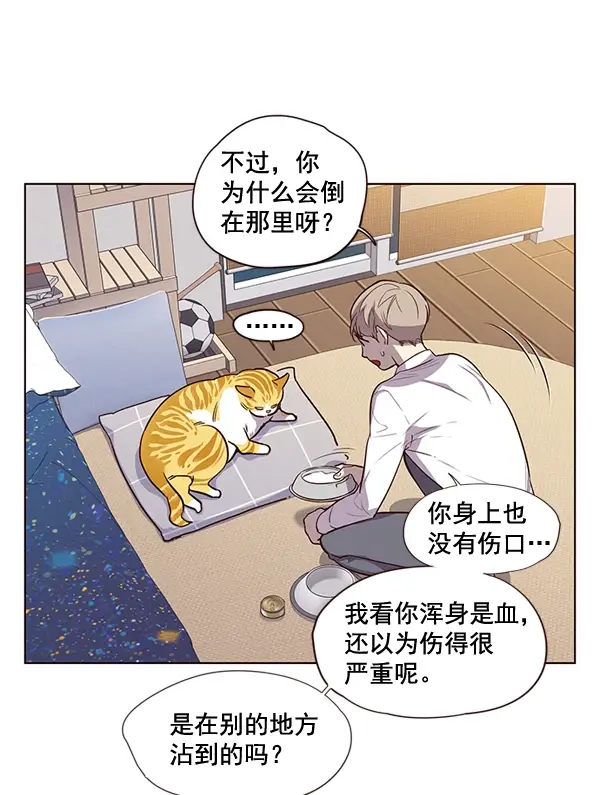 漫画《觉醒吧，铲屎官！》第1话第85张图
