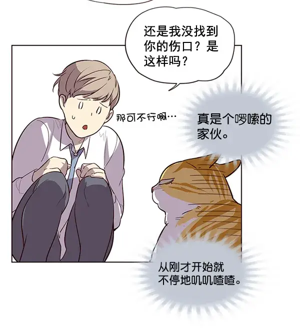 漫画《觉醒吧，铲屎官！》第1话第86张图