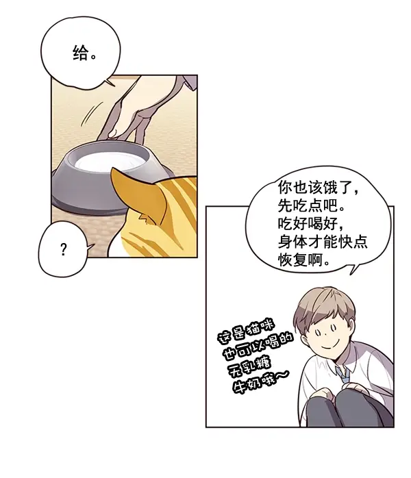 漫画《觉醒吧，铲屎官！》第1话第87张图