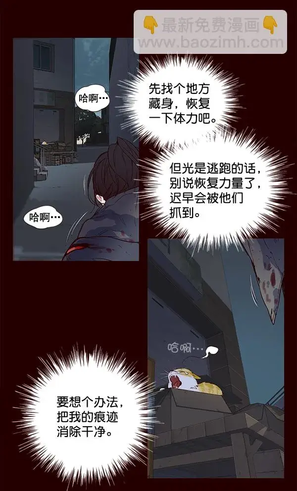 漫画《觉醒吧，铲屎官！》第1话第9张图