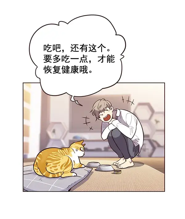 漫画《觉醒吧，铲屎官！》第1话第90张图